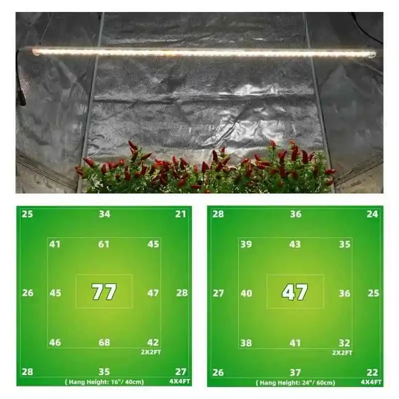 T8 lambalar altında büyüyen