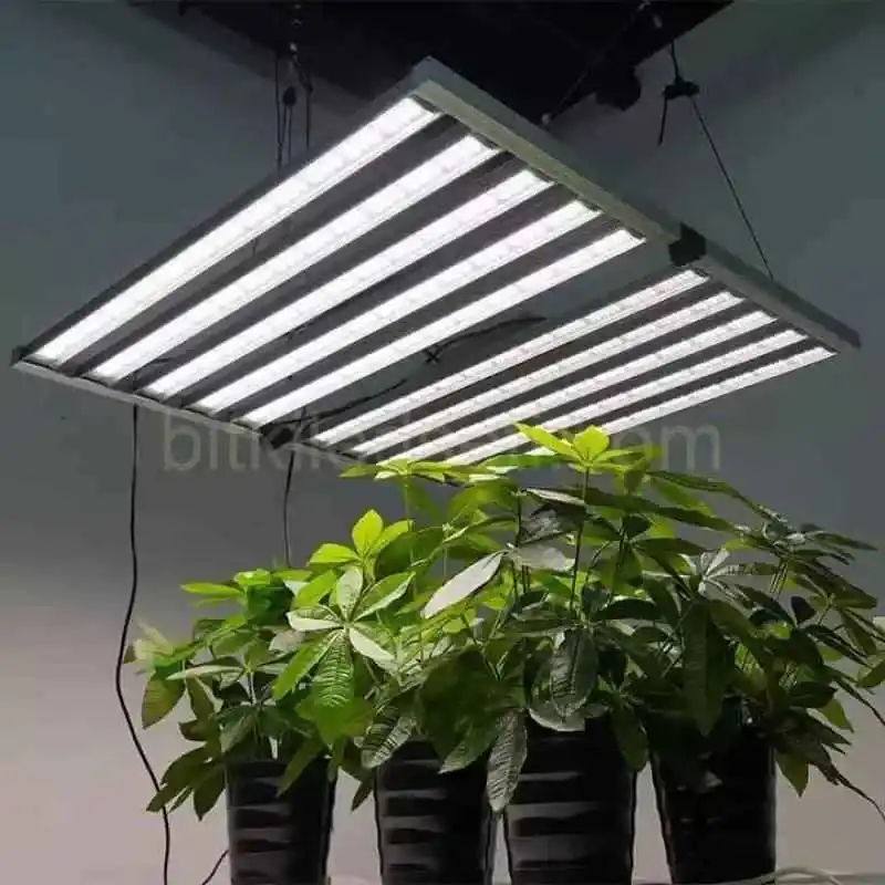 1000W F10 Max Samsung LM301H 9 , F10 Max 1000W lambanın geniş alanı kaplayan 10 barlı yapısının üstten görünümü