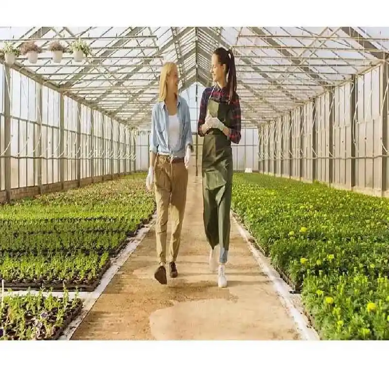 100W Pro Quantum Board Style Lamba 15 100W Quantum Board, Samsung LM281B çipli ve tam spektrumlu LED bitki lambası