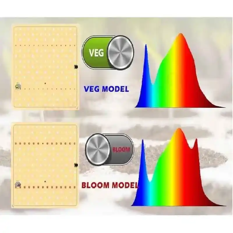 100W Pro Quantum Board Style Lamba 12 100W Quantum Board'un büyüme (mavi) ve çiçeklenme (kırmızı) için güçlü tepe noktalarını gösteren spektrum grafiği