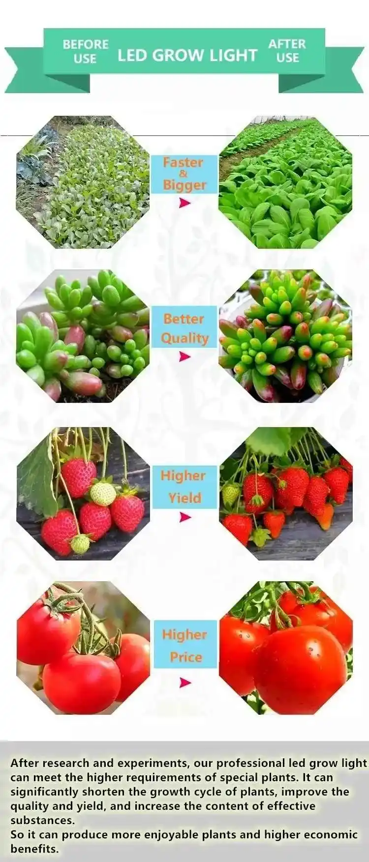 240W Folux Plus V2 - Samsung LM301B 8 240W Samsung Lamba