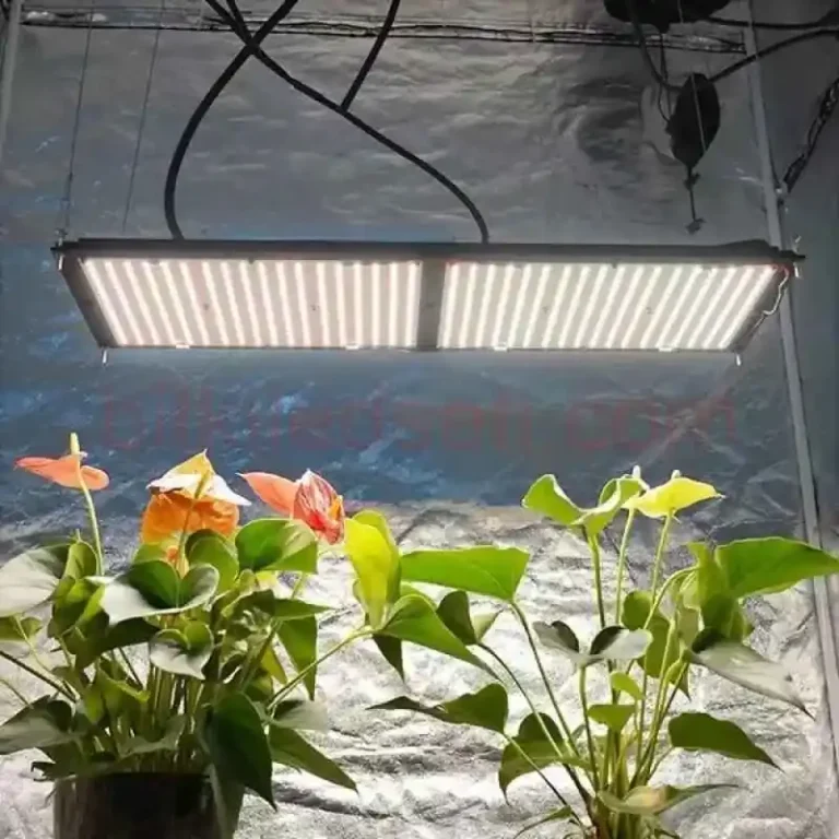 240W Samsung Lamba Folux Plus V2, Samsung LM301B çipli