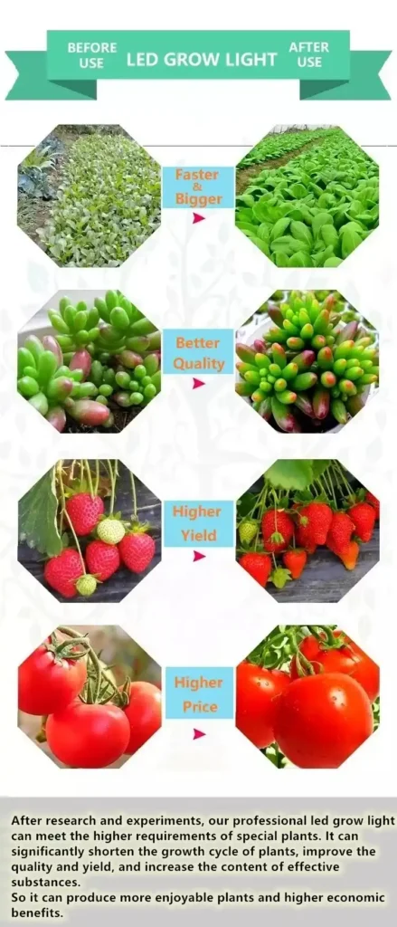 240W Folux Plus V2 (LM301H Serisi) 4 240W Samsung Lamba Folux Plus V2, profesyonel seri Samsung LM301H çipli