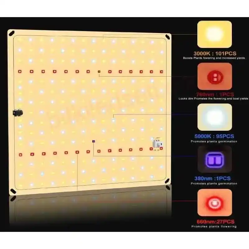 100W Pro Quantum Board Style Lamba 5 100W Quantum Board üzerindeki 3000K, 5000K, Kırmızı, UV ve IR diyotların yakından görünümü