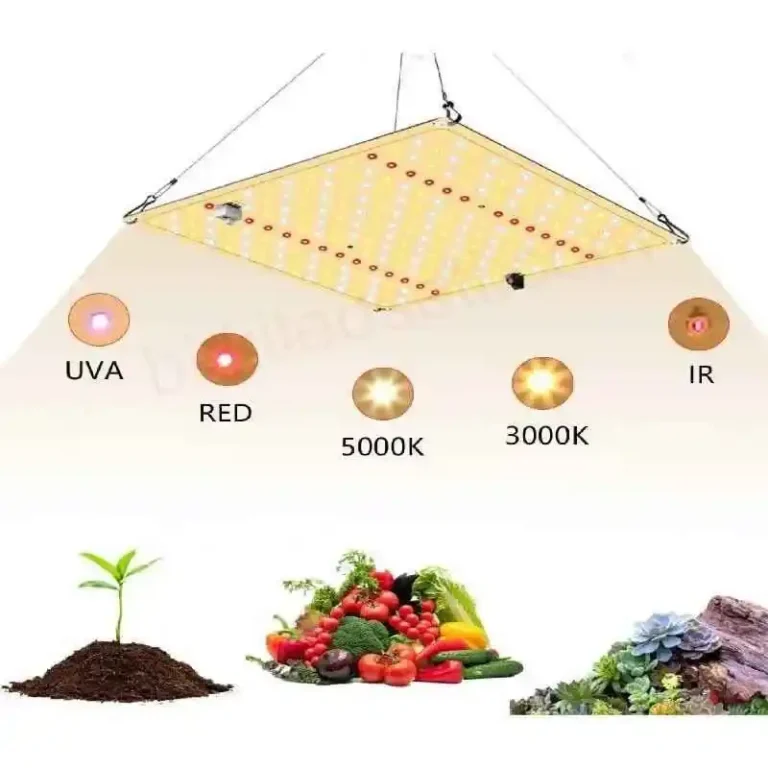 100W Quantum Board üzerindeki 3000K, 5000K, Kırmızı, UV ve IR diyotların yakından görünümü