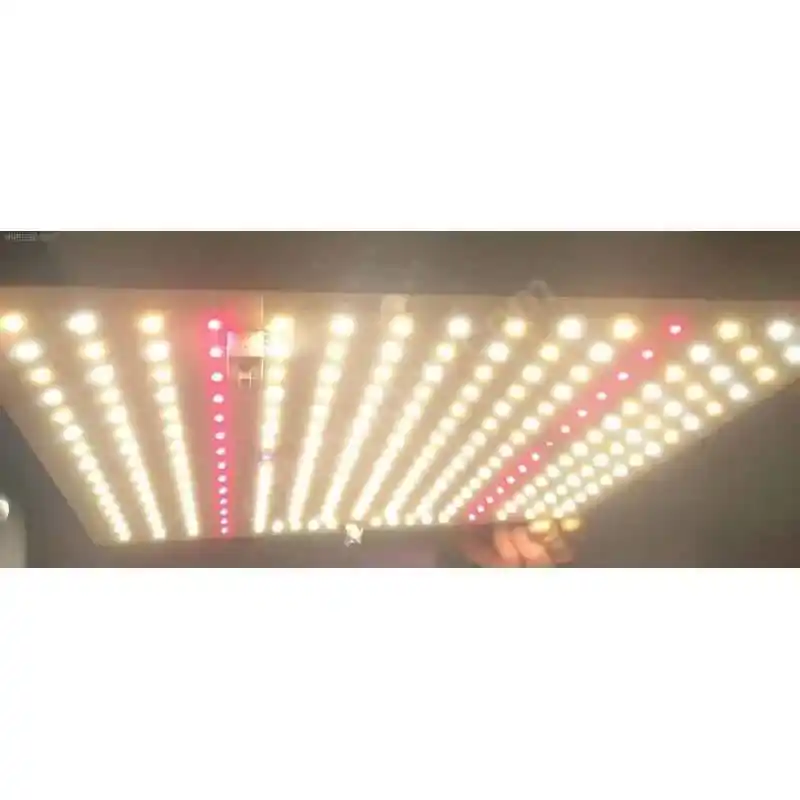 100W Pro Quantum Board Style Lamba 6 100W Quantum Board üzerindeki 3000K, 5000K, Kırmızı, UV ve IR diyotların yakından görünümü