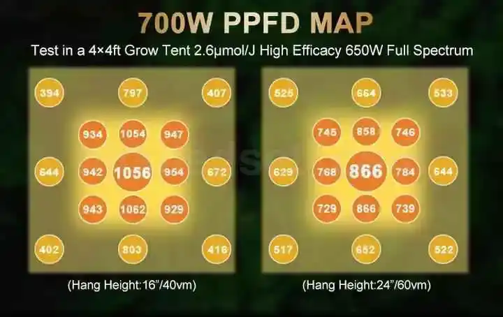700W F8 Max 5 Spektrum & Sertifikalı 18 , F8 lamba üzerindeki 3000K, 5000K, kırmızı, UV ve IR diyotların yakından görünümü