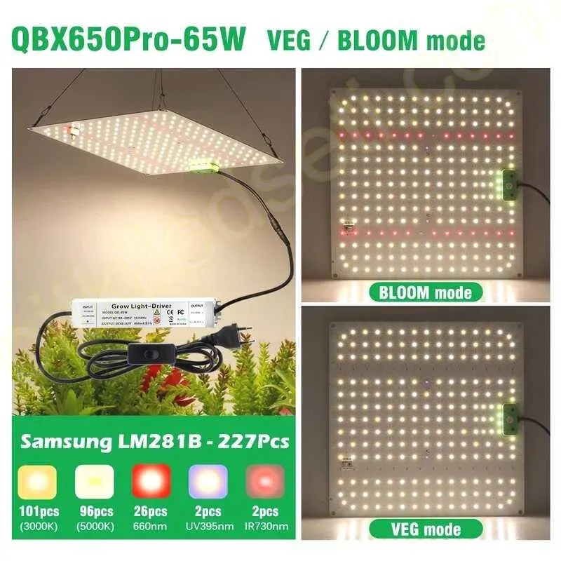 QBX650 Pro bitki lambasının VEG ve BLOOM modları arasında geçiş yapan anahtarı