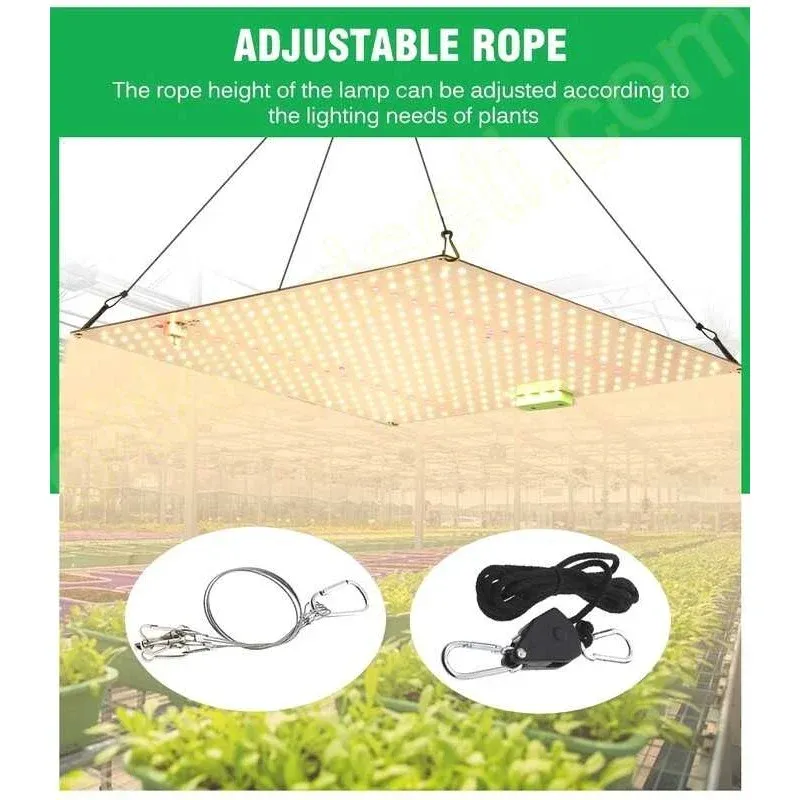 QBX650 Pro bitki lambasının VEG ve BLOOM modları arasında geçiş yapan anahtarı