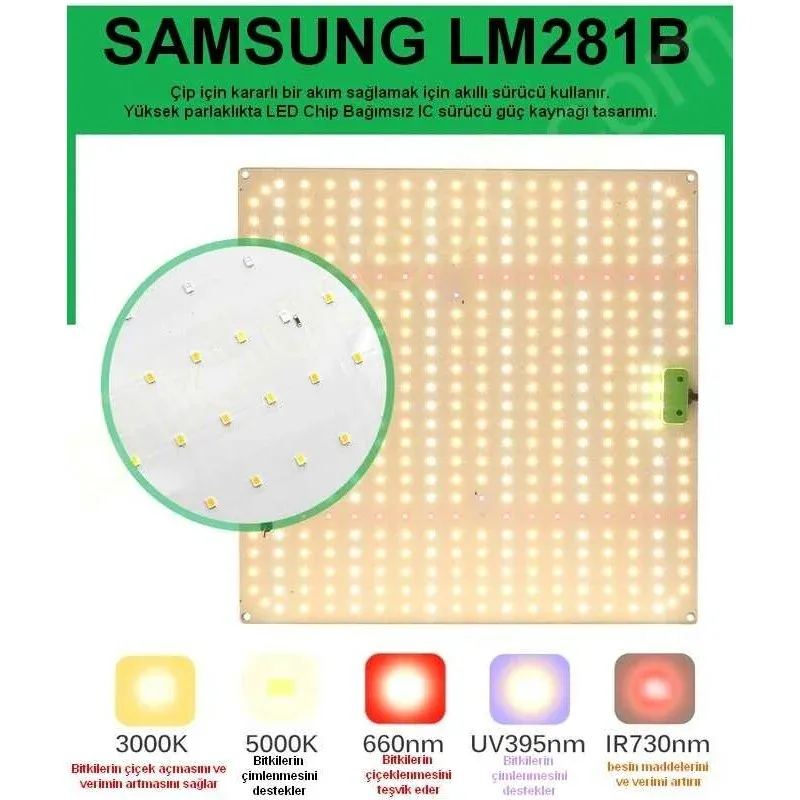 65W QBX650 Pro Quantum Board bitki lambası, VEG ve BLOOM modları