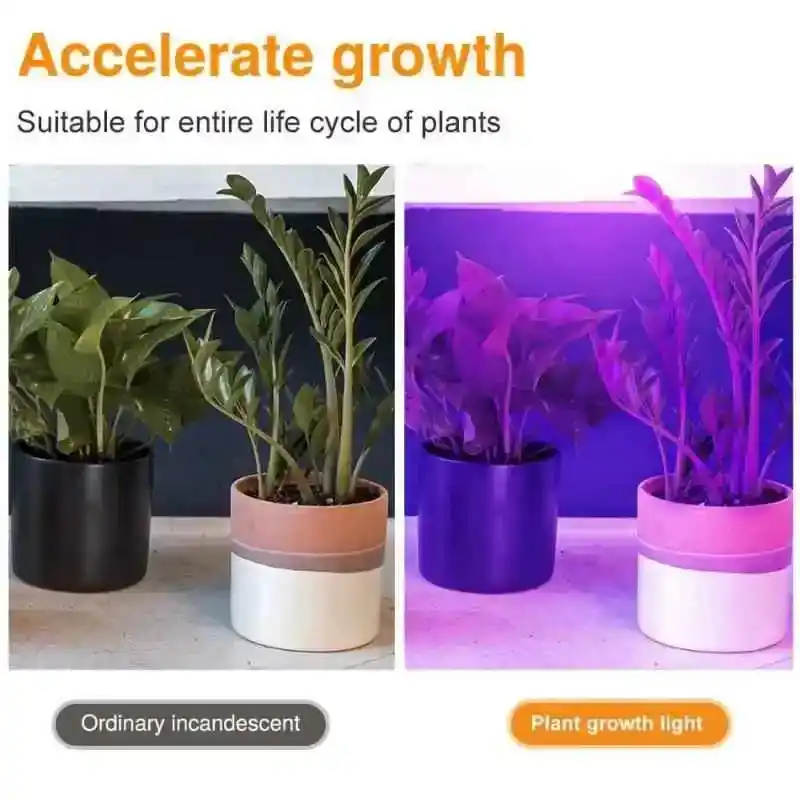 E27 300 LED Full Spektrum Bitki Ampulü 17 Bir masa lambasına takılı E27 Bitki Lambası, bir saksı bitkisini aydınlatıyor