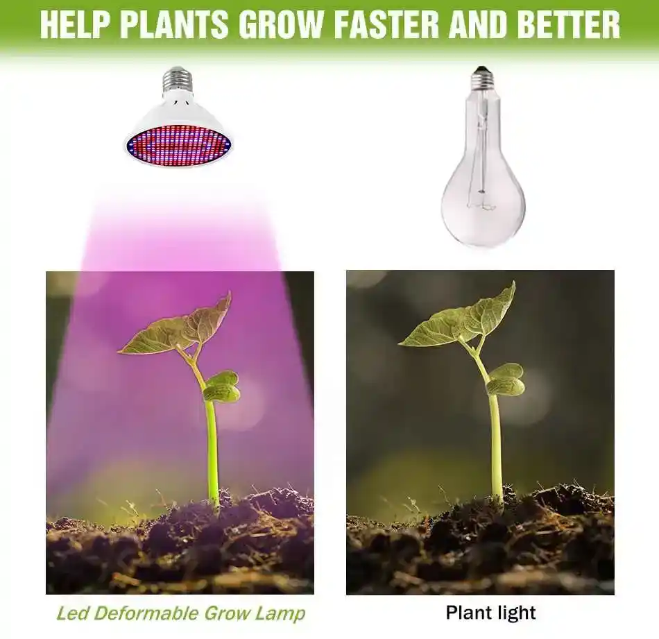 E27 300 LED Full Spektrum Bitki Ampulü 18 Bir masa lambasına takılı E27 Bitki Lambası, bir saksı bitkisini aydınlatıyor