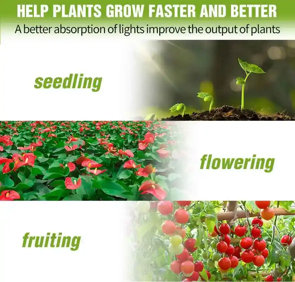 E27 300 LED Full Spektrum Bitki Ampulü 19 Bir masa lambasına takılı E27 Bitki Lambası, bir saksı bitkisini aydınlatıyor