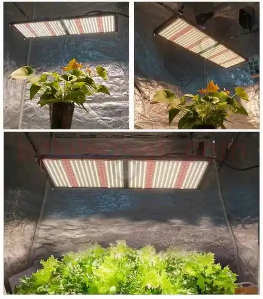 Epistar 3030 LED çipleri ve 660nm kırmızı diyotların bulunduğu PCB kartı