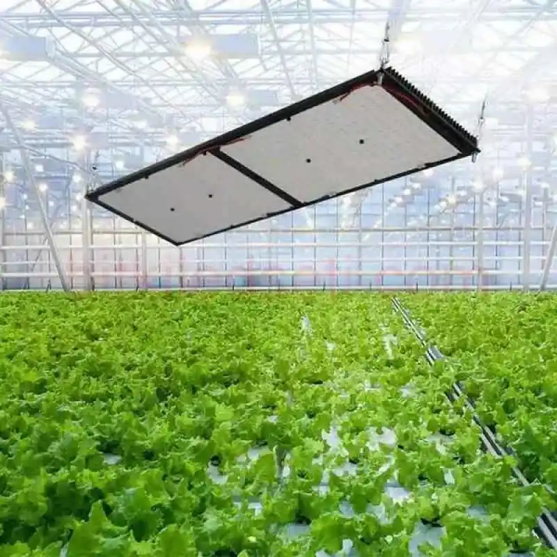 Epistar 3030 LED çipleri ve 660nm kırmızı diyotların bulunduğu PCB kartı