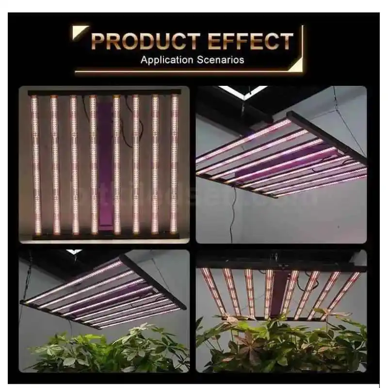 700W F8 Max 5 Spektrum & Sertifikalı 10 700W Bitki Lambası F8'in ETL, DLC, CE gibi uluslararası güvenlik ve performans sertifikaları