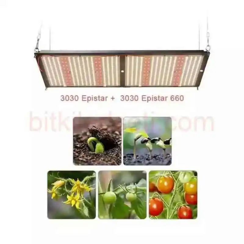240W Epistar 3030 Full Spektrum Lamba Kiti 4 Kitin içinde bulunan endüstriyel kalitedeki Inventronic 240W LED sürücü