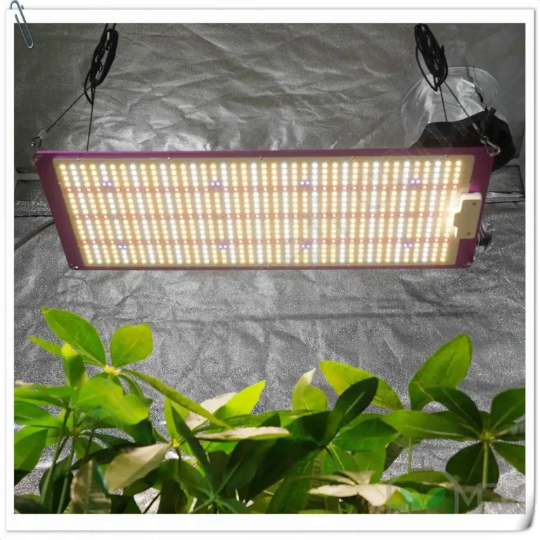 Meijiu 320W profesyonel LED grow light, Samsung LM301H çipli