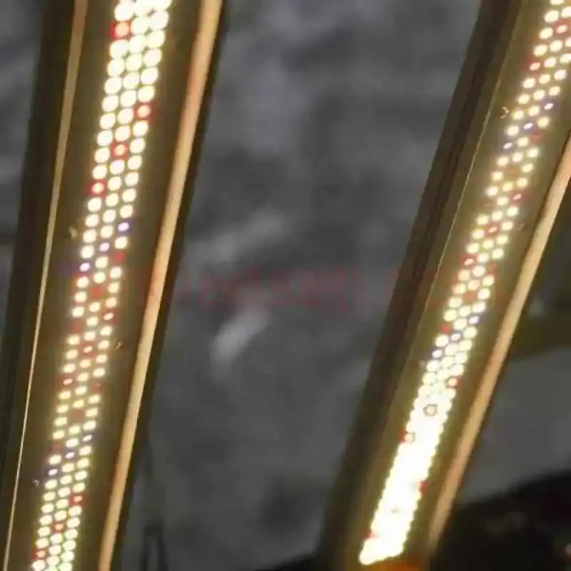 240W F4 Mix UV/IR Destekli 14 , F4 lamba üzerindeki Samsung LM281b, UV ve IR LED diyotların yakından görünümü