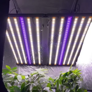 122x122cm Kapsama Alanına Sahip 1060W Samsung LM281B UV IR 12 Bar