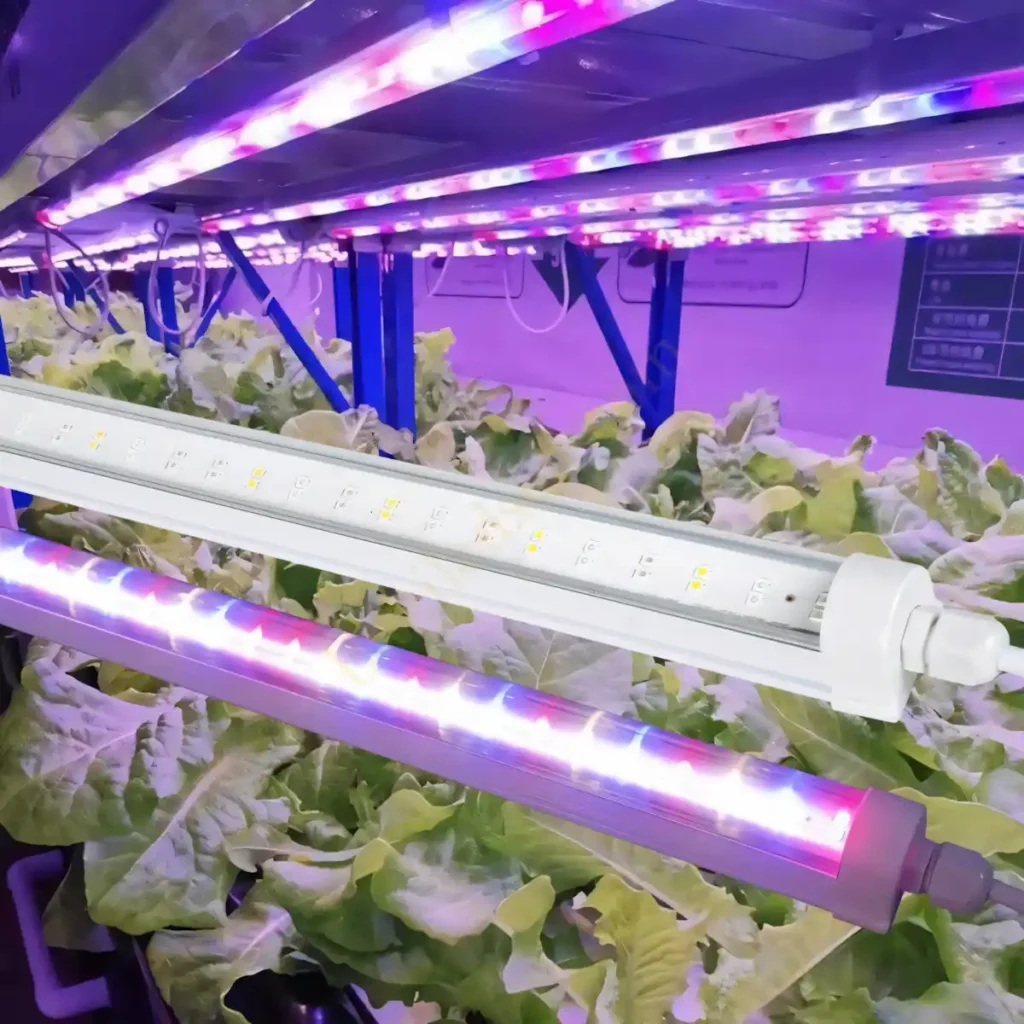 30W 120cm IP65 akıllı sera lambası kumandalı full spektrum LED