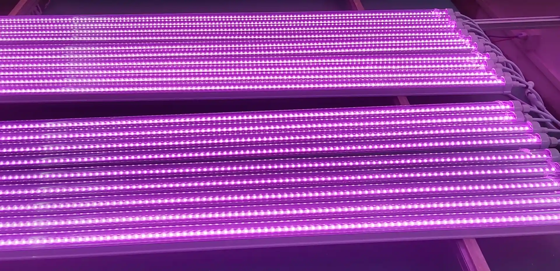 Bitki Yetiştirme Lambaları Bitki Yetiştirme Lambaları