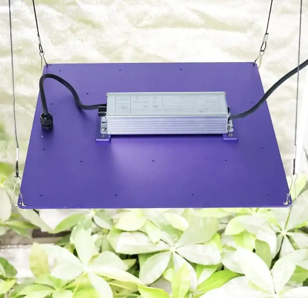 240w samsung lm281b incelemesinde alüminyum gövde. full spektrum led grow light dimmer ayarı