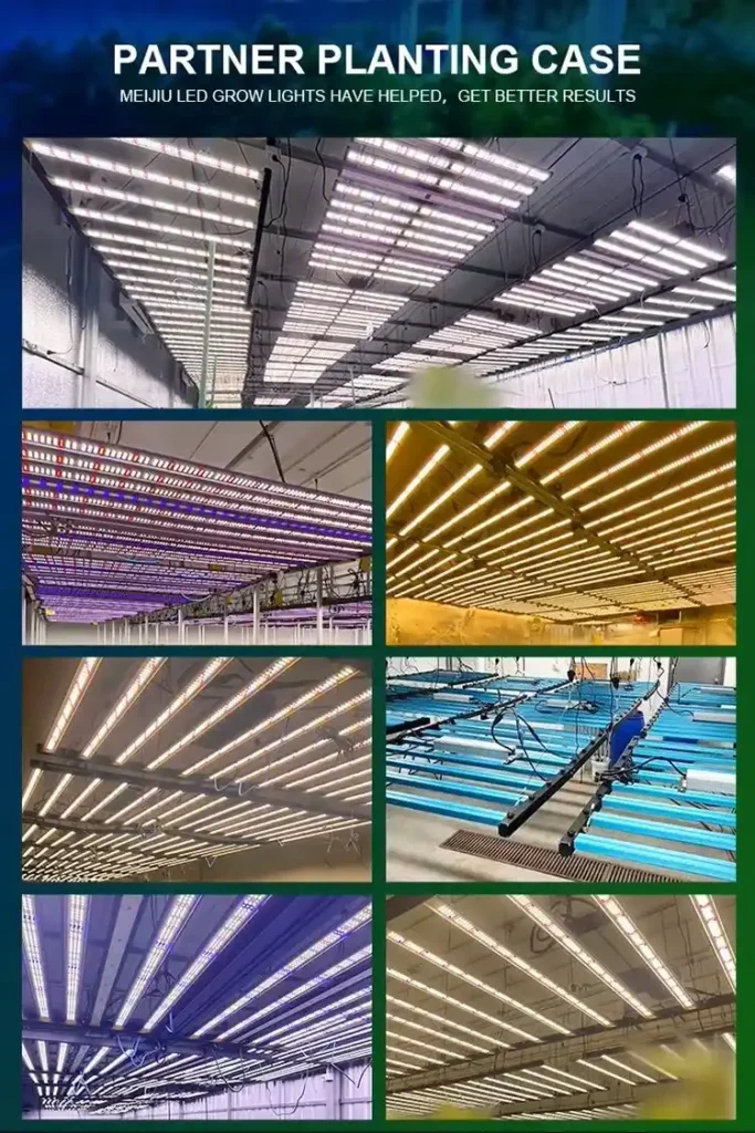 Dimmable Samsung LM281B 240W Bitki Yetiştirme Lambası