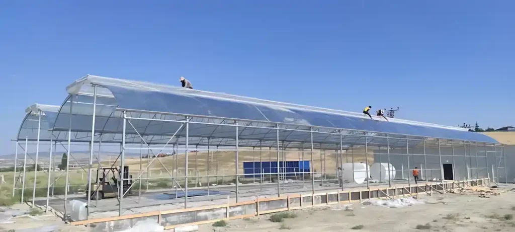 Aeroponik Patates Yumru Serası Aydınlatma Profesyonel Sera Aydınlatma Sevkiyatı