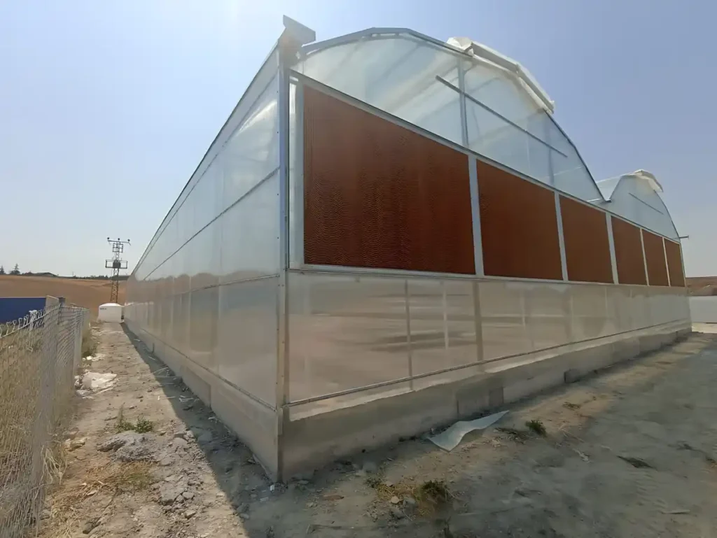 Aeroponik Patates Yumru Serası Aydınlatma Profesyonel Sera Aydınlatma Sevkiyatı