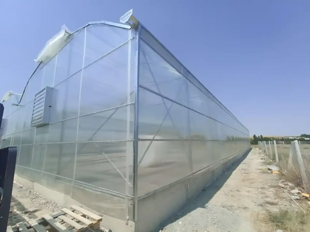 Aeroponik Patates Yumru Serası Aydınlatma Profesyonel Sera Aydınlatma Sevkiyatı