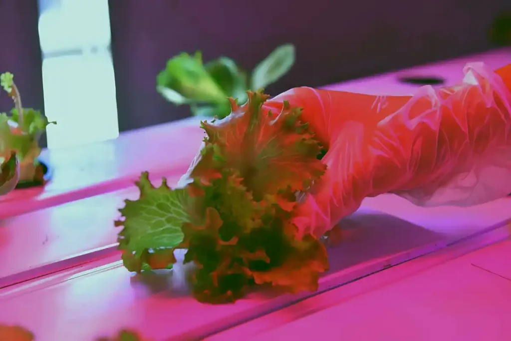 Ankara Büyükşehir Belediyesi Dikey Tarım Konteyner Sera Kabini