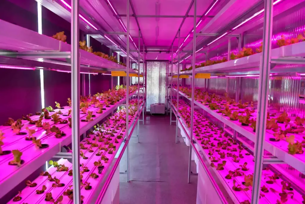 Ankara Büyükşehir Belediyesi Dikey Tarım Konteyner Sera Kabini