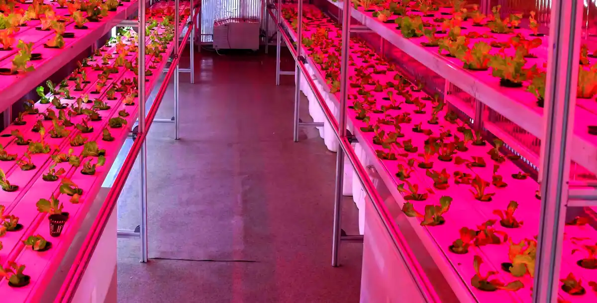 Ankara Büyükşehir Belediyesi Dikey Tarım Konteyner Sera Kabini