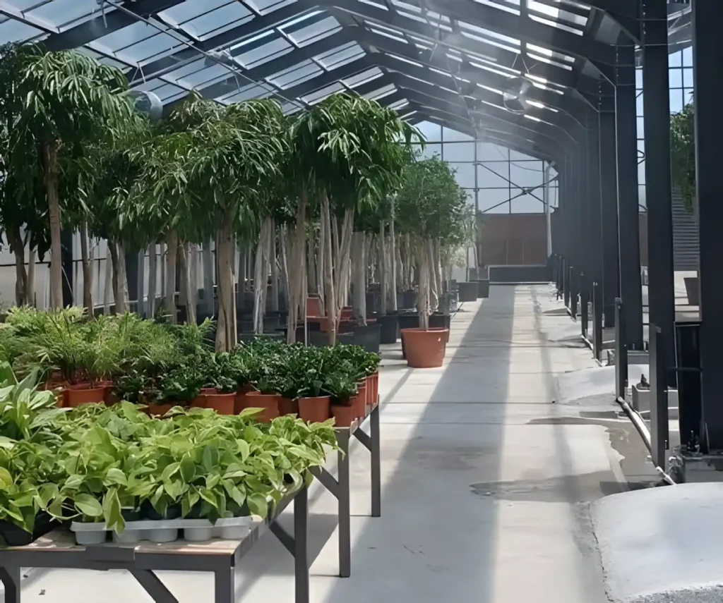 Bitki Led Seti, İstanbul Havalimanı Bitki Serası, MFK Bitki Lambaları