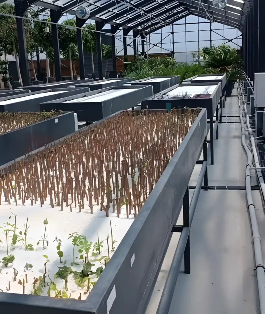 İGA Bitki Bekleme Ambarı Aydınlatma