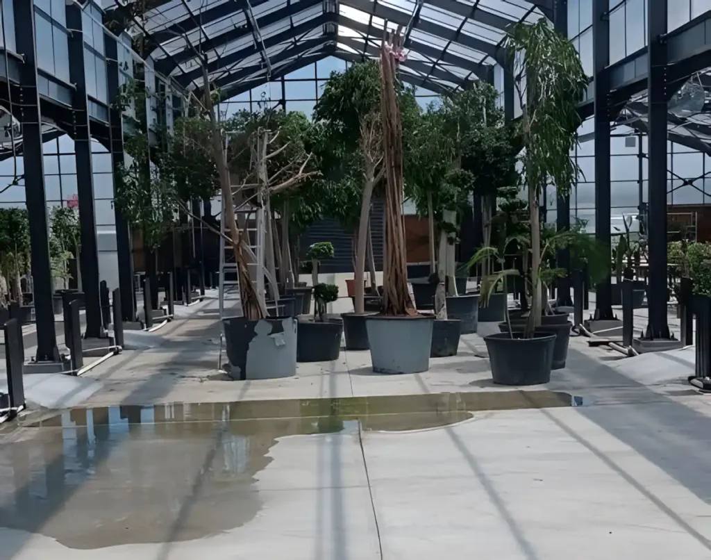 Bitki Led Seti, İstanbul Havalimanı Bitki Serası, MFK Bitki Lambaları