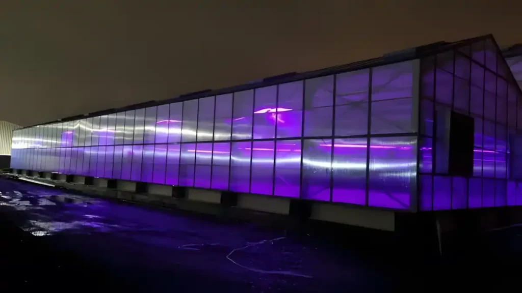 İGA Bitki Bekleme Ambarı Aydınlatma