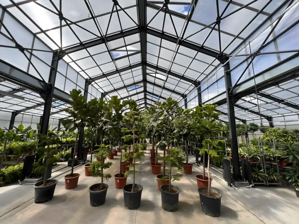 Bitki Led Seti, İstanbul Havalimanı Bitki Serası, MFK Bitki Lambaları