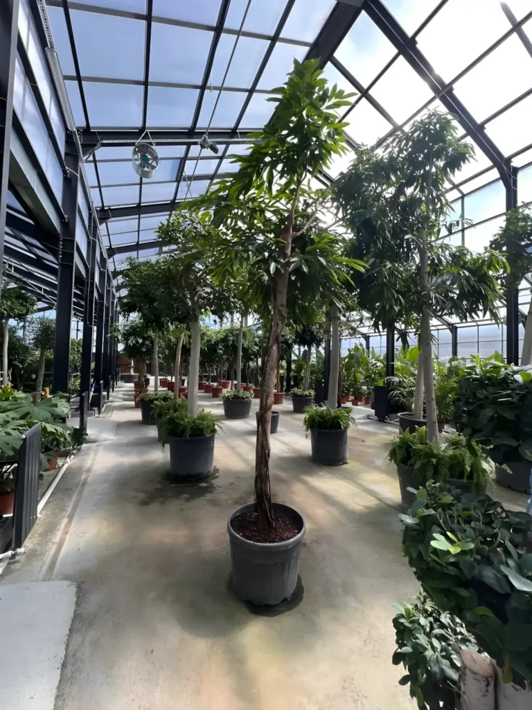 Bitki Led Seti, İstanbul Havalimanı Bitki Serası, MFK Bitki Lambaları