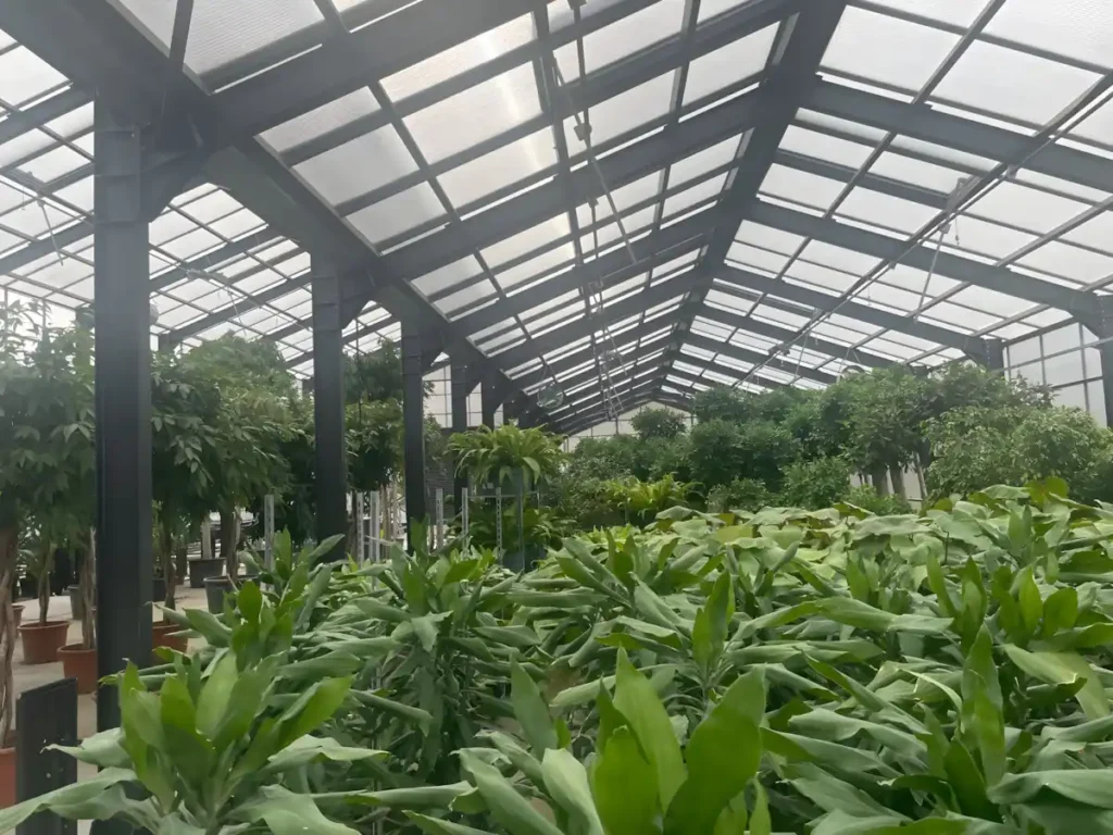 İGA Bitki Bekleme Ambarı Aydınlatma