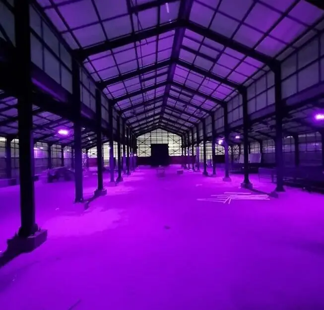 Sera LED aydınlatma projelendirme uygulaması