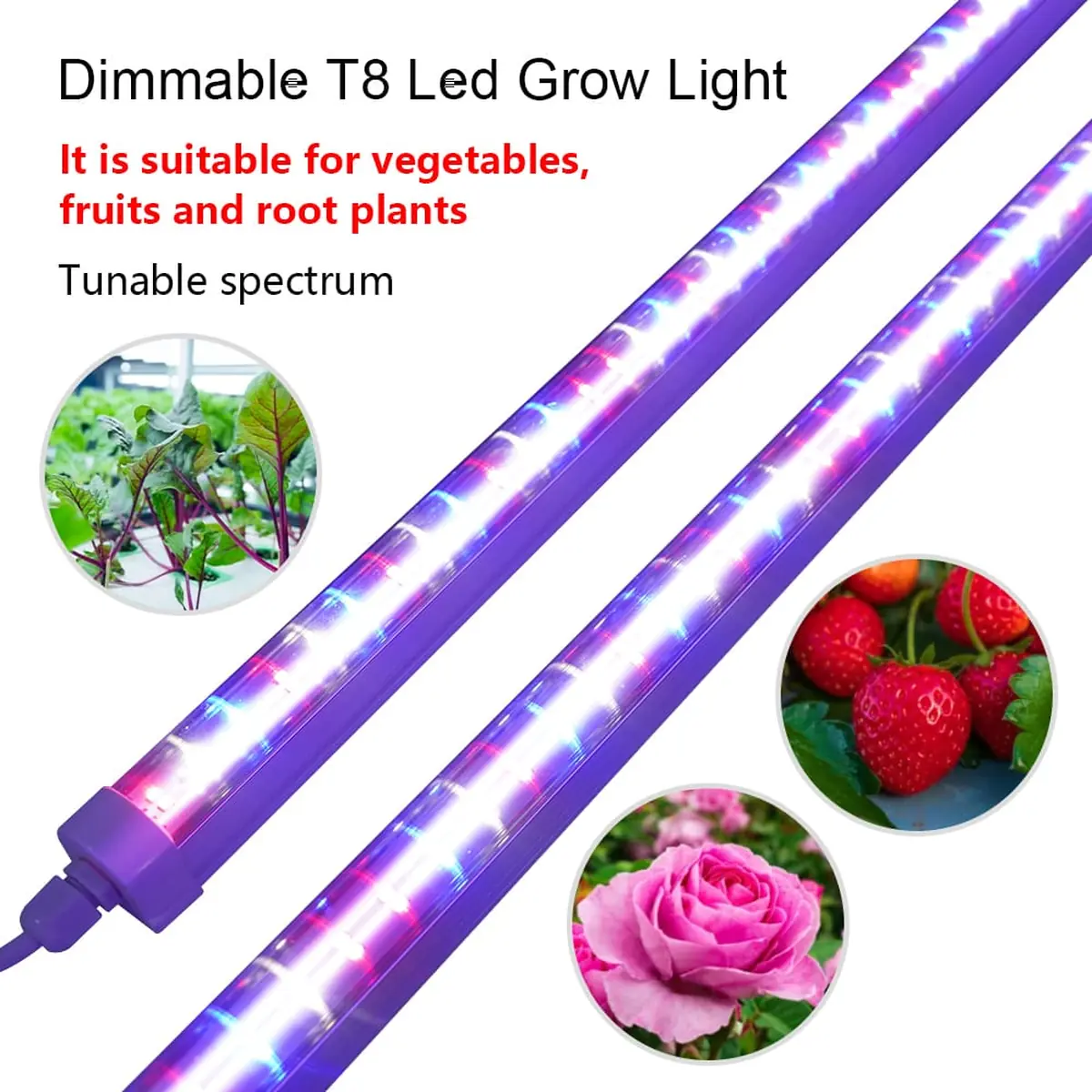UV ve IR Destekli 5 Kanallı 36W 120cm IP65 T8 Akıllı Sera Lambası